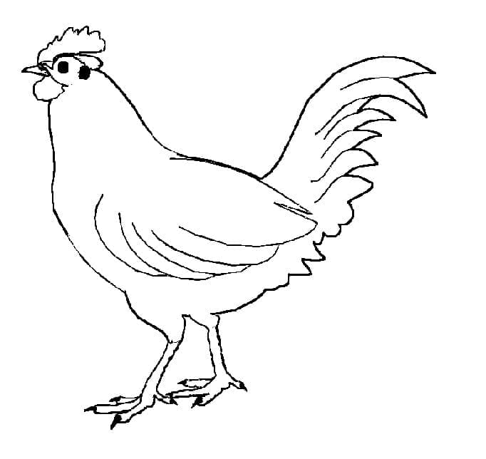 Con Gà Đơn Giản Nhất