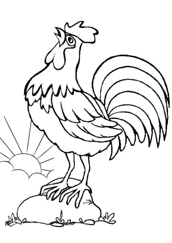 Gà Trống Gáy