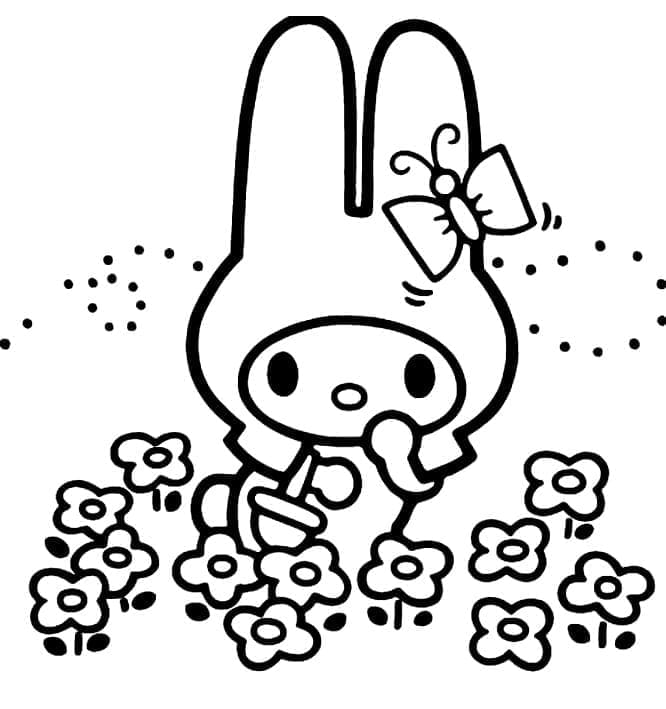 My Melody Hái Hoa