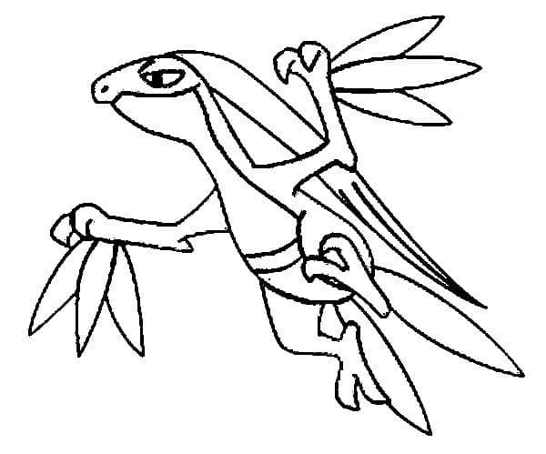Pokemon Grovyle