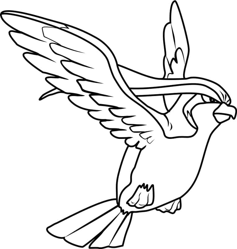 Pokemon Pidgeot