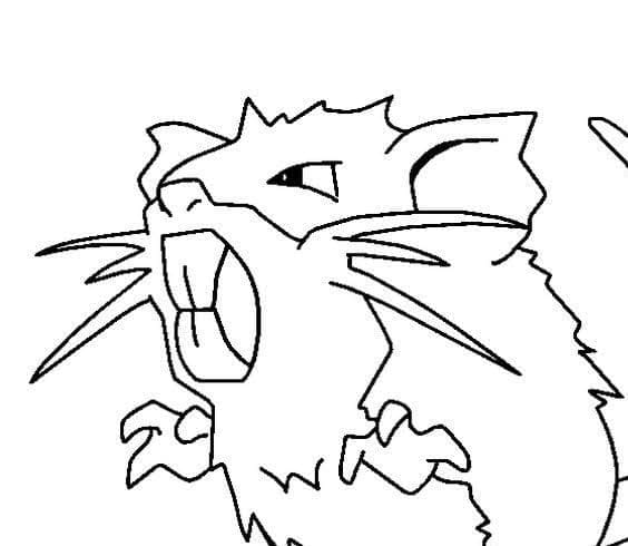 Pokemon Raticate