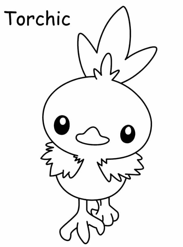 Pokemon Torchic