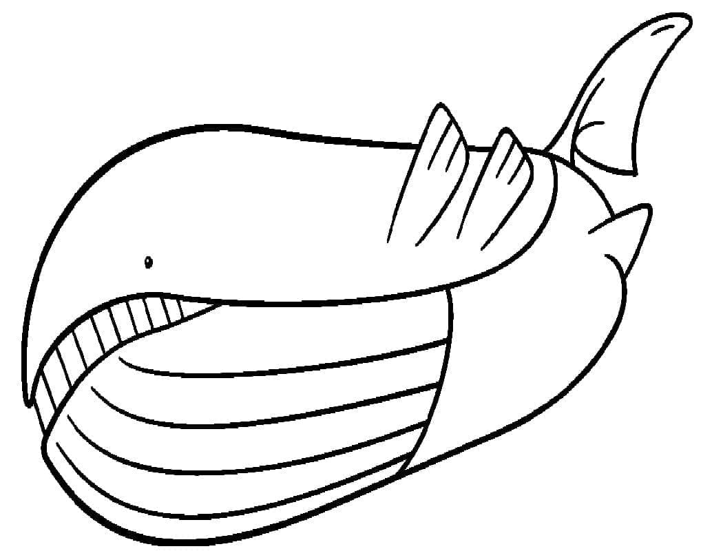 Pokemon Wailord